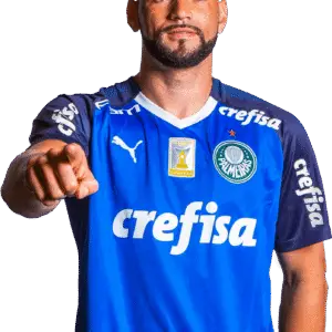 Brazil National Team 2026